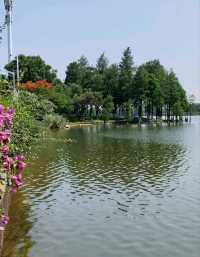 🏞️ 松山湖生態園區