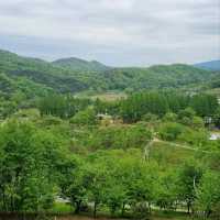 Daejeon Wanders