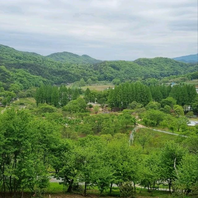 Daejeon Wanders