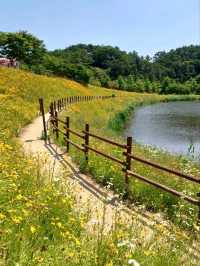 꽃길 속 힐링 데이트