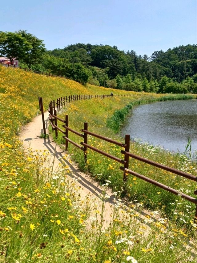 꽃길 속 힐링 데이트