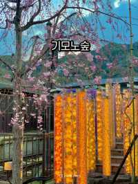 아라시야마 기모노 숲, 인생샷 명소!🎎
