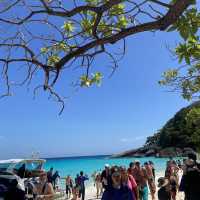 หมู่เกาะสิมิลัน (Similan Islands)