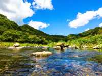 森林遊樂園區系列 PART1️⃣