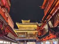 Lost in the Lights of Shanghai