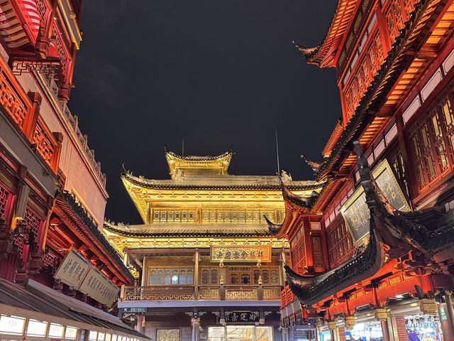 Lost in the Lights of Shanghai