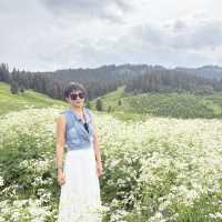 Bole 2 Days Itinerary
