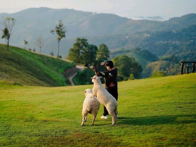 เที่ยวดอยช้าง AKHA FARMVILLE อาข่า ฟาร์มวิลล์