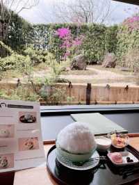 《鹿兒島 - 仙儼園》白熊冰