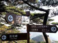 Magical Climb Up Mount Huangshan