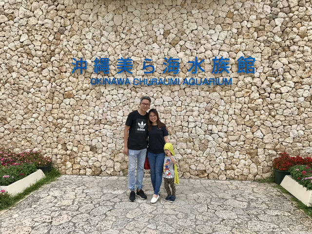 ☀️Summer in Okinawa 🏝️