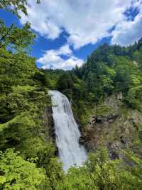 【尾瀬国立公園】湿原と高山植物に癒される、静寂のハイキング旅