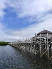 Captivating Beauty of Bohol