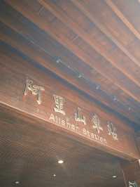 阿里山一日精華遊：與神木、雲海和森林鐵路的邂逅