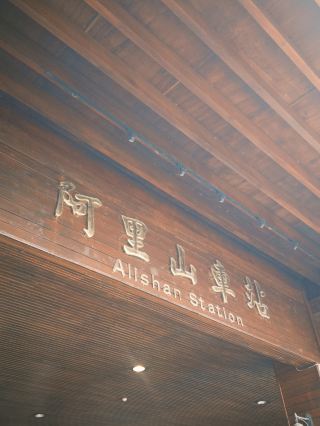 알리산 하루 여행: 신목, 운해, 그리고 숲속 철도와의 만남