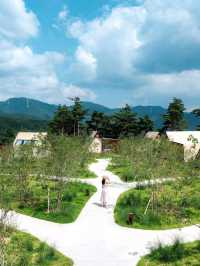 cheongdo