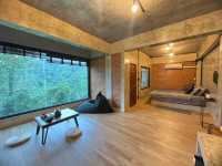 Hi Land Forest View