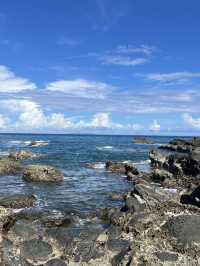 台東小野柳美到像外星球｜免費開放景點，海天一線、奇岩怪石出片100分📸