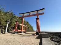 🌊 Aoshima, Miyazaki – A Charming Coastal Escape