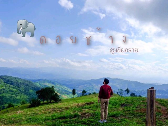 ดอยช้าง หน้าฝน ฟินกว่าที่คิด 🍃☕️