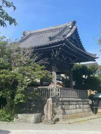 【神奈川県/鎌倉　紫陽花がキレイに咲いている穴場スポット】