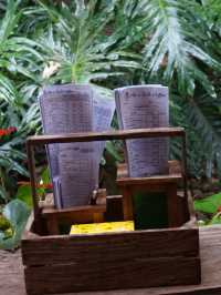 Caffeine, Cool Air & Main Character Vibes at Lud Pud Pa Peng, Mae Kampong