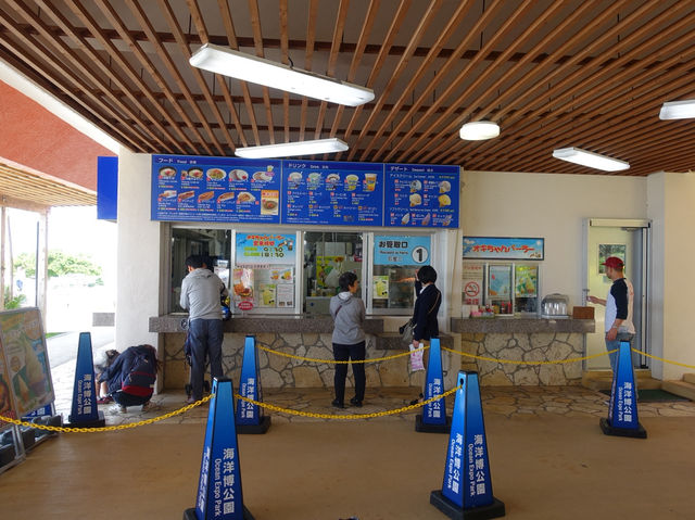 🐠 Dive into Wonder at Okinawa Churaumi Aquarium