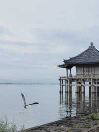 【湖に浮かぶ幻想の寺院🌕】浮御堂で静寂と絶景のひととき✨