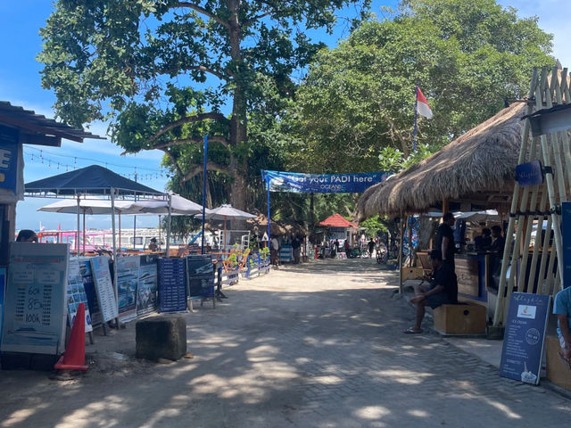 Endless Summer in Southeast Asia: Gili Air – My Most Rewarding Island Visit! ☀️🐢