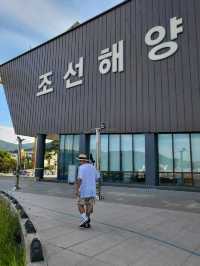 올해 거제도 수국은 여기만 봐도 대성공