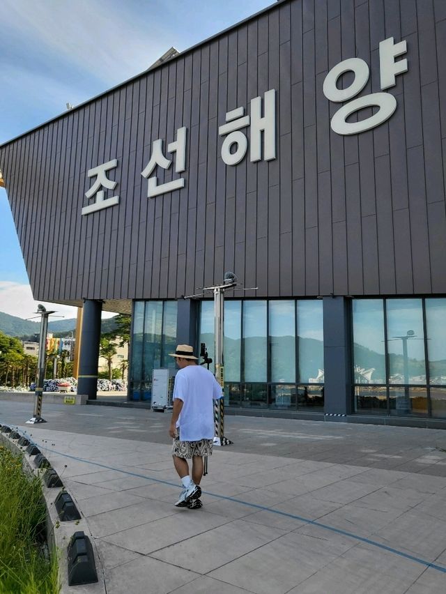 올해 거제도 수국은 여기만 봐도 대성공