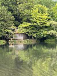 🌿由布院 + 太宰府一日浪漫遊｜夢幻金鱗湖＋文化滿載太宰府天滿宮✨