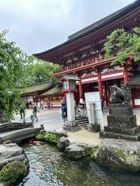 🌿由布院 + 太宰府一日浪漫遊｜夢幻金鱗湖＋文化滿載太宰府天滿宮✨