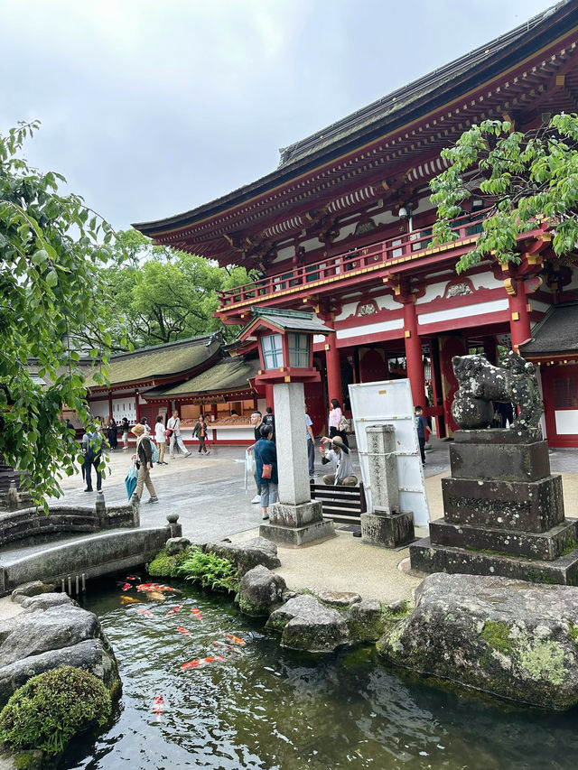 🌿由布院 + 太宰府一日浪漫遊｜夢幻金鱗湖＋文化滿載太宰府天滿宮✨