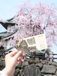  ปราสาทฮิโรซากิ 🌸 ปราสาทกลางซากุระแห่งโทโฮคุ