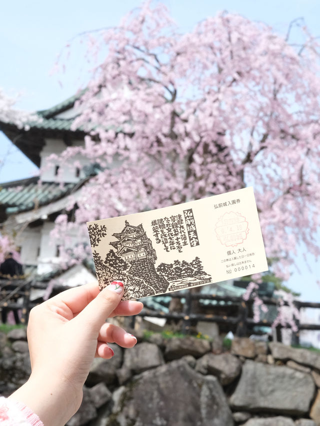  ปราสาทฮิโรซากิ 🌸 ปราสาทกลางซากุระแห่งโทโฮคุ