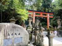 Nara City Walk: A Day of Deer and Wanderlust! 🦌🚶‍♀️