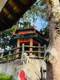 Chin Swee Caves Temple: A Heavenly Hideaway in Genting
