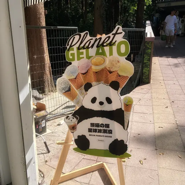 Shanghai Zoo Filled with Panda Merchandise