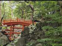 🍁東京・後楽園｜小石川後楽園｜都心のオアシスで、日本と中国の美が融合する庭園散歩🌿✨
