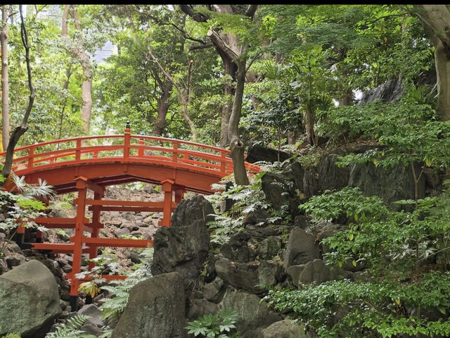 🍁東京・後楽園｜小石川後楽園｜都心のオアシスで、日本と中国の美が融合する庭園散歩🌿✨