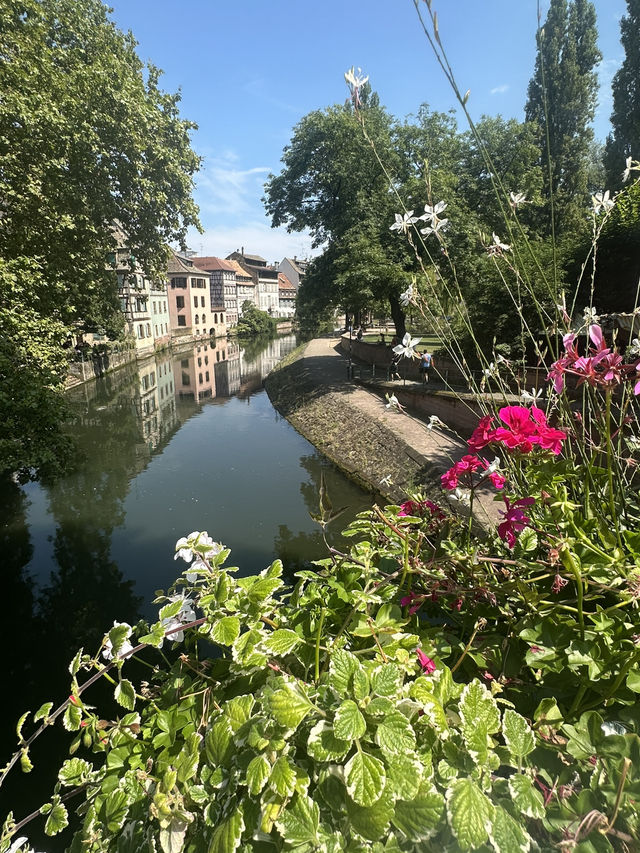 🏡アルザスの宝石・ストラスブール✨運河と木組みの街で過ごすヨーロッパ時間🇫🇷🇩🇪