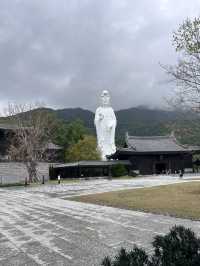 Tsz Shan Monastery Hongkong 