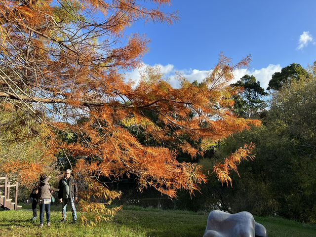 🖼️ Brick Bay Wines & Sculpture Trail — 藝術與自然的完美交融