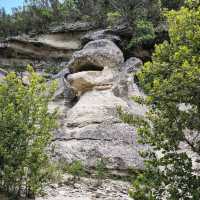 Lost Maples State Natural Area