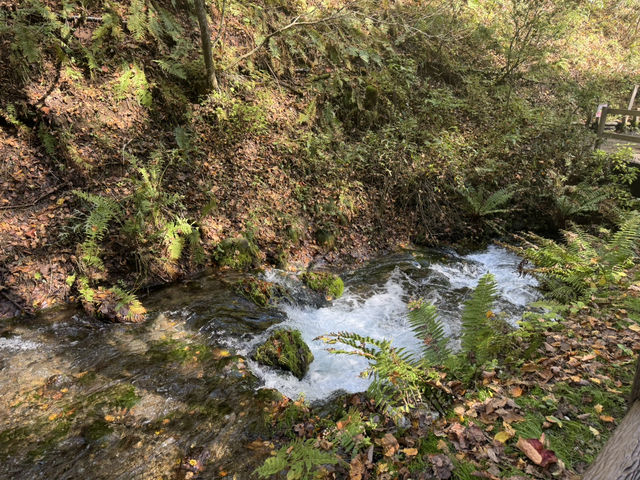 【軽井沢旅行】白糸の滝に行ってみた！