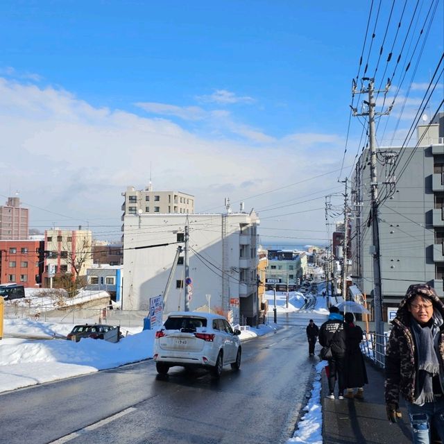 Charming Otaru Escape: 2-day Cultural & Culinary Journey from Sapporo