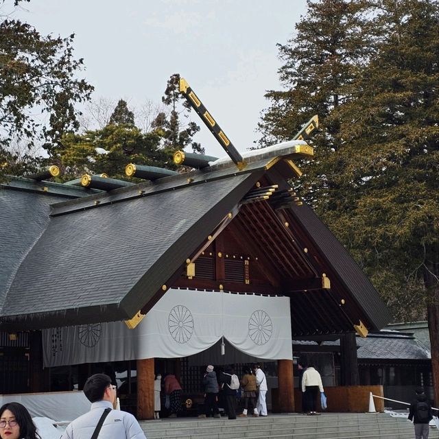 Sapporo in a Day: Culture, Cuisine & City Highlights