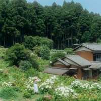 Hattori Farm Hydrangea Mansion