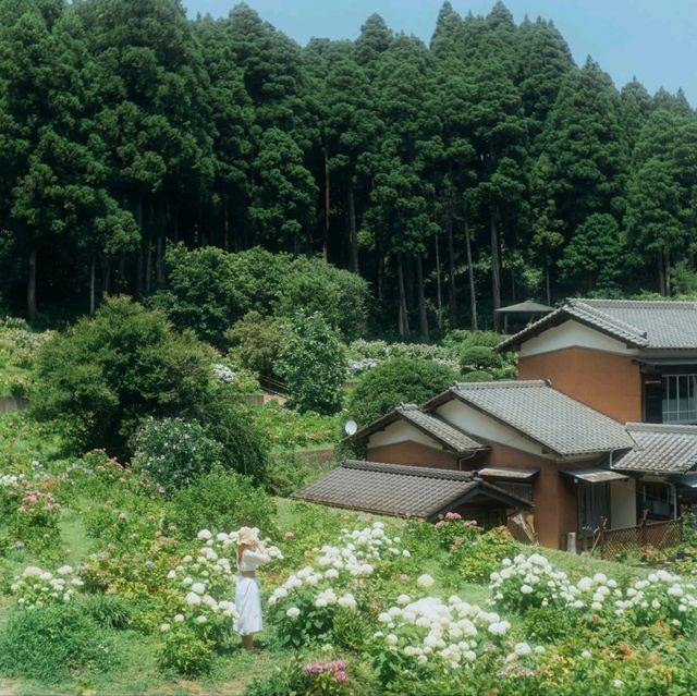 Hattori Farm Hydrangea Mansion